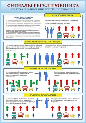 Этот знак регулировщика не знает каждый второй водитель | Автошкола ХАЙВ! |  Дзен