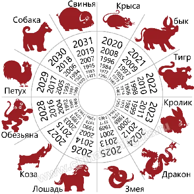 Восточный гороскоп на 2022 год – кому из знаков Зодиака в год Тигра не  повезет