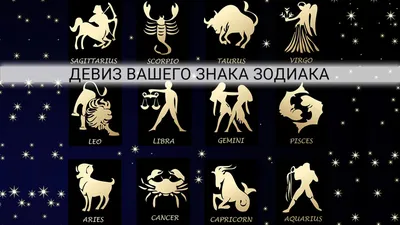 Все знаки зодиака на одной картинке…» — создано в Шедевруме