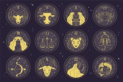 Совместимость по году рождения знаков зодиака восточного гороскопа