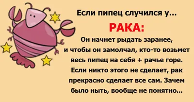 Смешные знаки зодиака. Отель. Красочная иллюстрация вектора всех знаков  зодиака изолированных на белом фоне. Zodiacal мило Иллюстрация вектора -  иллюстрации насчитывающей близнецы, характер: 214392089