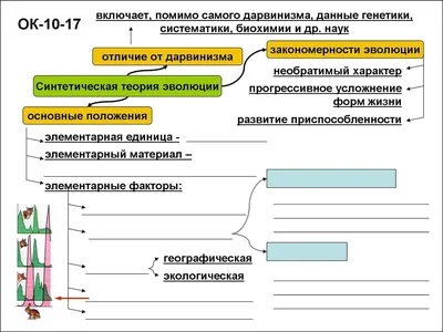 Исследователи узнали, в каком возрасте человек лучше усваивает знания