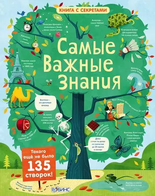 О, спорт – ты мир!» - насколько велики твои знания в разных видах спорта?  Викторина для школьников и всех желающих – Мирбис