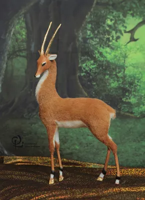 Золотая антилопа, но в реалиях Пикабу | Пикабу