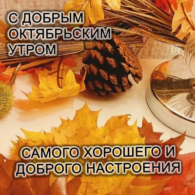 Золотая осень Autumn Позитив друзьям Красивая музыкальная видео открытка  Card Красивое Поздравление - YouTube