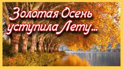 Золотая Осень уступила Лету и позволила ему побыть в гостях немного... |  Открытки-Пожелания от Анны Холод | Дзен