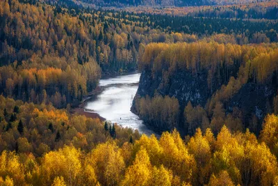 Золотая осень на Рассольном. Photographer Kuznetsov Kirill