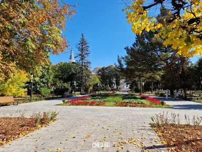 Фотоочерк: Золотая осень в 'Огороде' на площади Республики