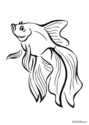 Раскраска Золотая рыбка распечатать или скачать