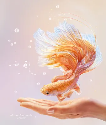 Картинка золотая рыбка, аквариум 1920x1080 скачать обои на рабочий стол  бесплатно, фото 365069
