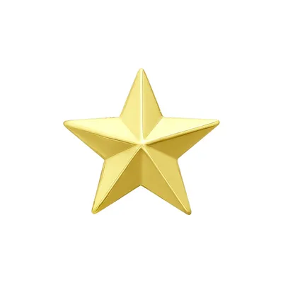 Векторная Медаль «Золотая Звезда» Героя Советского Союза и Героя России —  