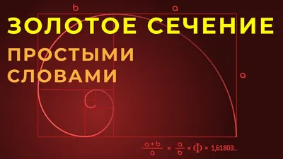 Недвижимость - Золотое правило - «Золотое сечение»! ⠀ ⠀Что такое «золотое  сечение»? Это пропорции, которые применяются в различных областях: дизайне  интерьеров, ландшафте садов и парков, логотипов и много где еще. ⠀ ⠀Смысл