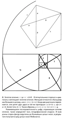 Блог Мелоди � - Я давно хотела сделать тату с научным значением. И мой  выбор пал на золотое сечение. Итак : 🔸Существует концепция, согласно  которой, золотое сечение является универсальным правилом, воплощается во