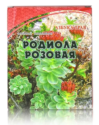 Золотой корень купить по низким ценам в магазине травника Кайгородова