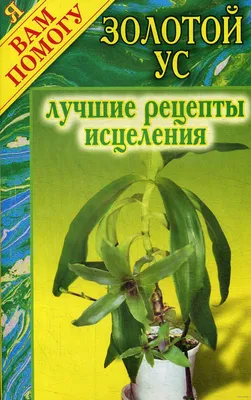 Callisia Fragrans / Home Ginseng - "Heals 100 ailments" - Золотой Ус 2  plants | eBay