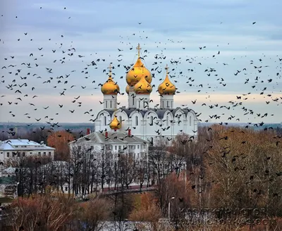 Пирожное «Золотые купола» (1 шт.)