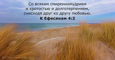 Карточки "Золотые стихи Библии для женщин" - христианские подарки и  сувениры - Издательский Дом Христофор