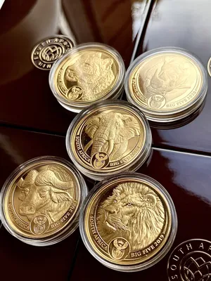 Дождь из золотых монет» — создано в Шедевруме