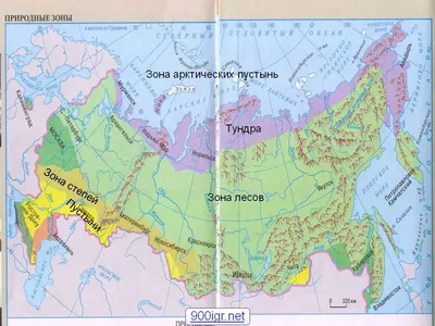 климатический пояс арктических пустынь - Школьные Знания.com