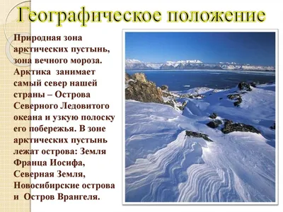 Зона арктических пустынь, тундры и лесотундры России • География,  Природно-хозяйственные зоны России • Фоксфорд Учебник