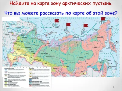 Зачем люди добровольно живут в арктических пустынях? - Узнай Россию