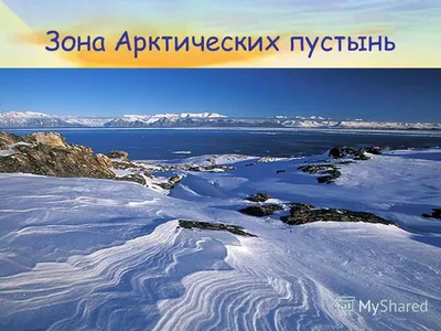Арктику окружает зона природных ледяных арктических пустынь –  –  Портал о развитии Арктики