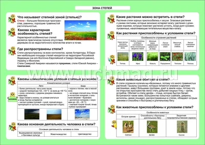 Окружающий мир. Зона степей. 1-4 классы: Таблица-плакат 420х297 • Лободина  Н. (сост.) – купить книгу по низкой цене, читать отзывы в  •  Эксмо-АСТ • ISBN , p1570809