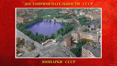 Изоляция Московского зоопарка в фотографиях | Новости | 