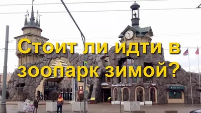 Московский зоопарк. Описание, фото и видео, оценки и отзывы туристов.  Достопримечательности Москвы, Россия.