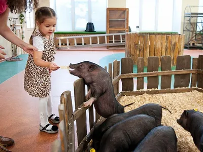 Московский зоопарк: фото, цены, отзывы, как добраться