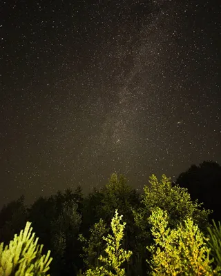 Фотообои для спальни "Звездное небо"