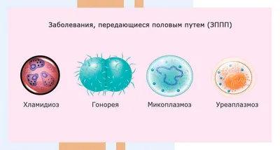 Профилактика распространения инфекций, передающихся половым путём