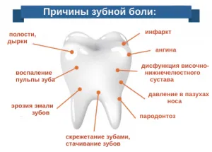 Денталгия — зубная боль — Стоматология «Доктор НеболитЪ»