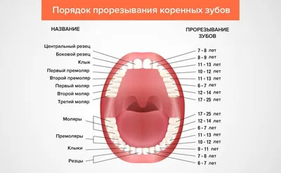 Как правильно чистить зубы ребенку ▶️