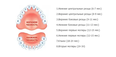 Ортодонт для детей