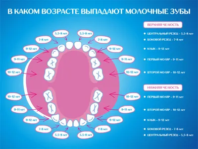 Профессиональная чистка зубов детям в СПб недорого • Амистом