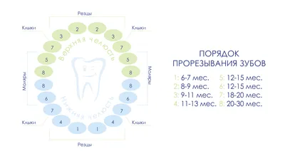 Как чистить зубы детям – статьи Ирригатор Бай