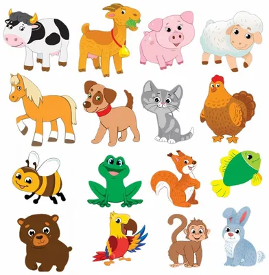 100 загадок про животных для детей: изучаем зверей