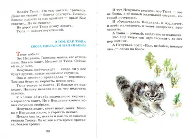 Большой определитель птиц, зверей, насекомых и растений России купить по  цене 738 ₽ в интернет-магазине KazanExpress