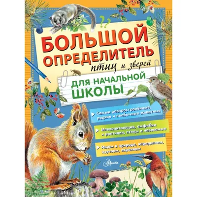 Большой определитель птиц и зверей для начальной школы. Станкевич С.А.  (5260938) - Купить по цене от  руб. | Интернет магазин 