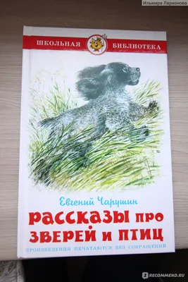 Рассказы про зверей и птиц. Евгений Чарушин - «Рассказы, которые интересны  и в 2 года, и в 28, и в 60 лет)» | отзывы