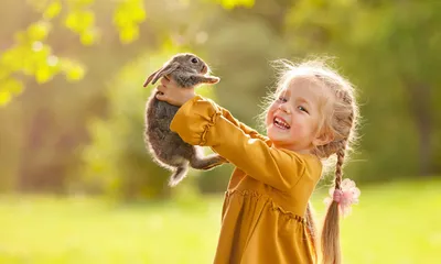 Прогулка у дома: звери, птицы и насекомые (Израиль) | Pro Отношения в  паре💟 | Дзен