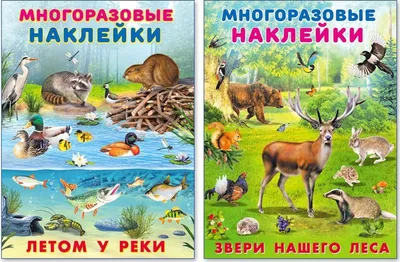 Виниловые наклейки на стену Звери в лесу ( лист 90 х 90см ) Б475-5  (ID#1872893464), цена: 550 ₴, купить на 