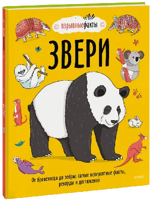 МИР животных: Домашние и дикие животные (звери) средней полосы. Домашние и  дикие птицы средней полосы. Дикие животные (звери) и птицы жарких и  холодных стран. Насекомые, земноводные, пресмыкающиеся, рыбы. Развитие речи  через познание