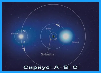 Самая яркая звезда- сириус Sirius Star ночного неба Стоковое Изображение -  изображение насчитывающей волк, реально: 206844183