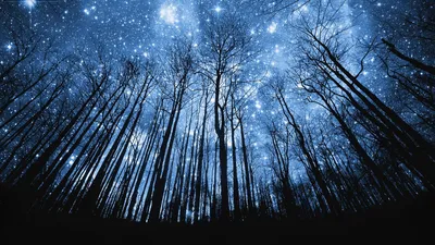 Фото звездного неба с длинной выдержкой. Кликабельно | Пикабу