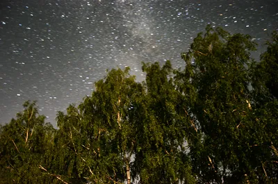 Делюсь фото звёздного неба, насладись бесконечной красотой космоса! |  Россия в объективе | Дзен
