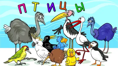 Учим ПТИЦ для детей ЗВУКИ птиц Развивающие мультики для малышей ПТИЦЫ -  YouTube
