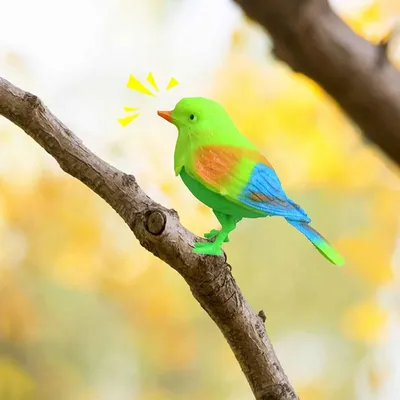 Почему птицы поют | Кто что сказал | Дзен