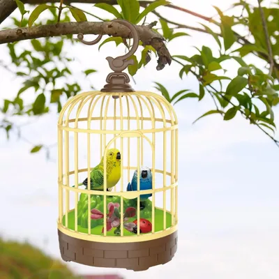 Орнитотерапия: как пение птиц влияет на организм человека - Звук